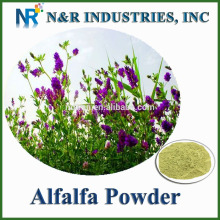 Pure and straight Alfalfa Grass Juice Powder